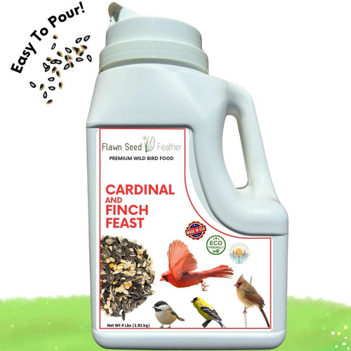 Bird Feeder and Seed for Finches