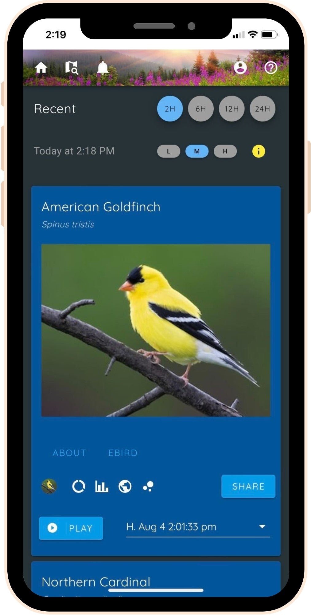 Haikubox & 1-Year Subscription